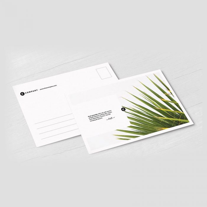 Postcards 5x7