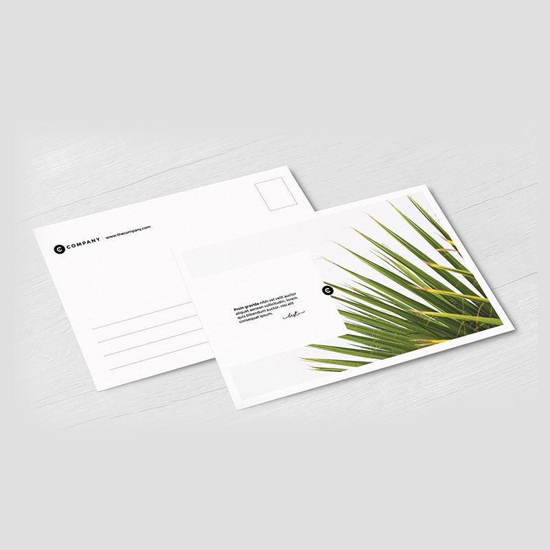 Postcards 5x7